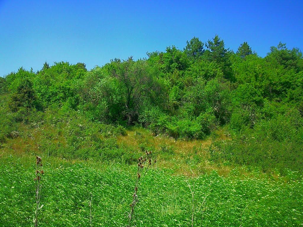 Багата Ущелина з panoramio.com - Bagata Uschelyna