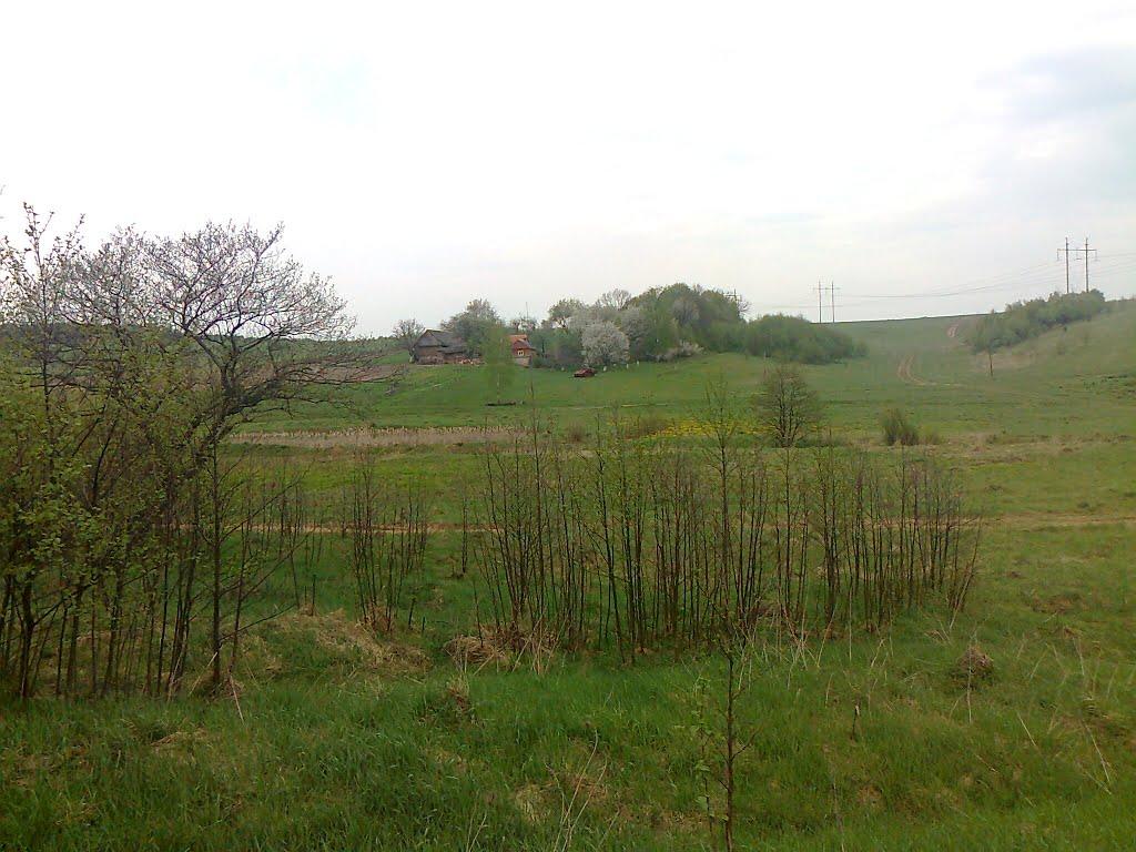 Лопушна з panoramio.com - Лопушна