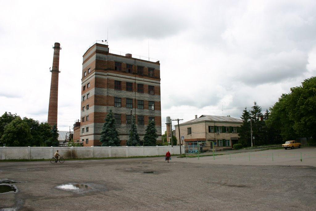 Вовча Балка з panoramio.com - Волчья Балка