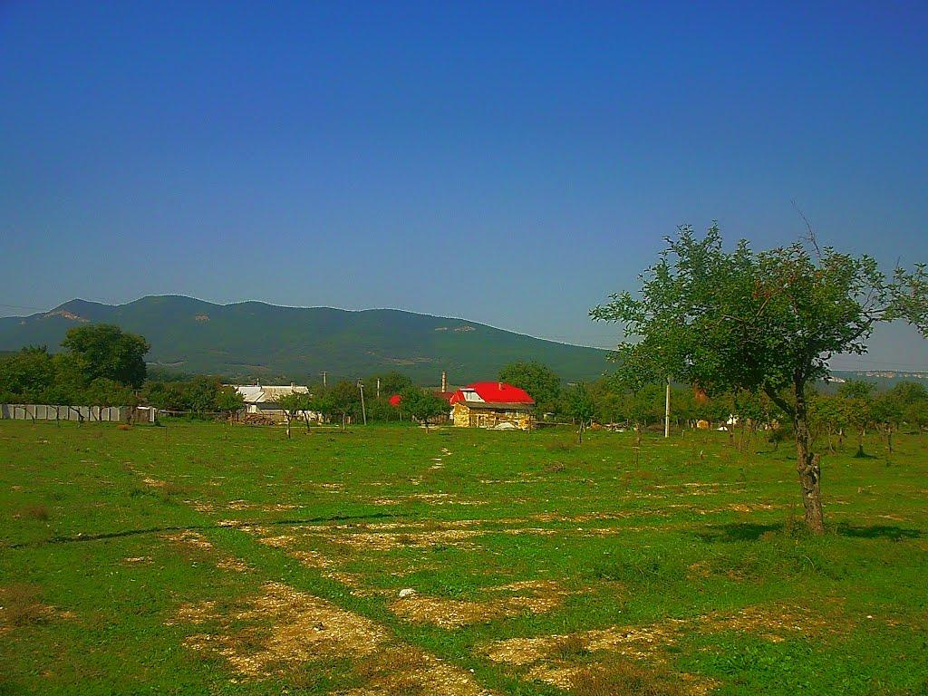 Аромат з panoramio.com - Аромат