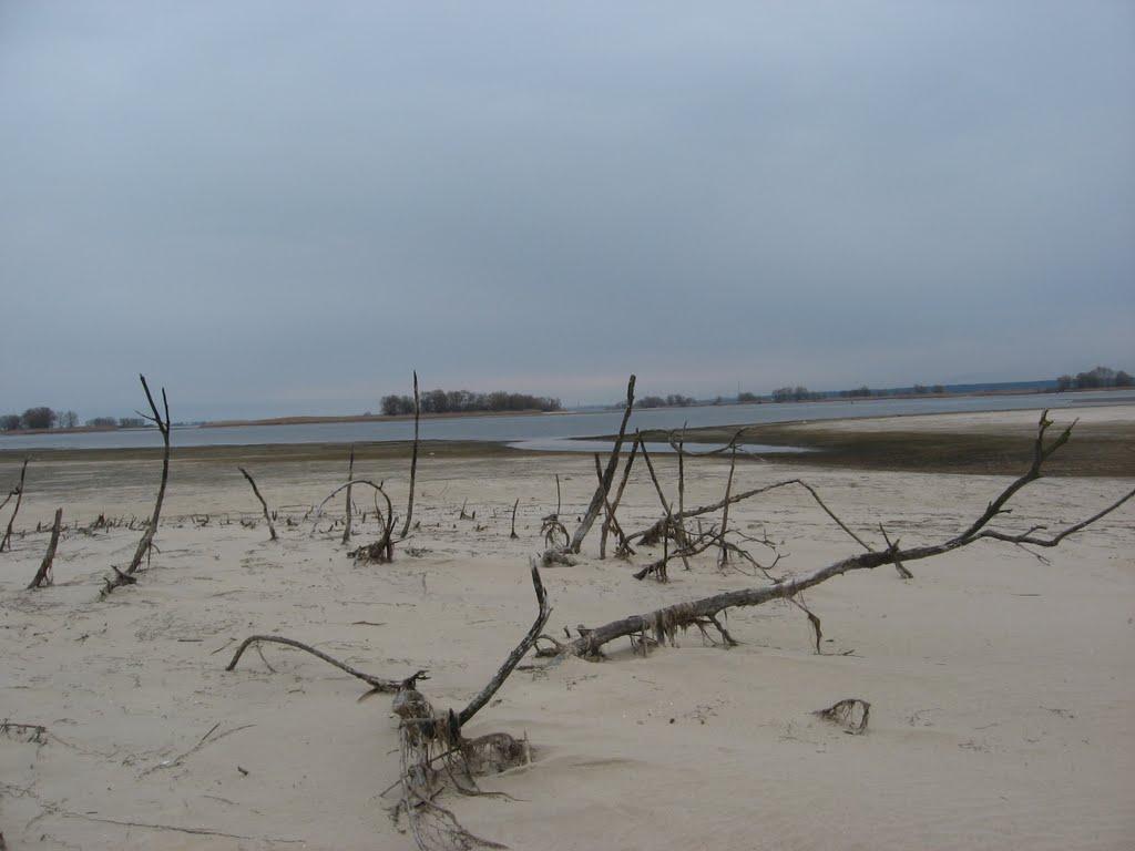 Свидівок з panoramio.com - Свидовок