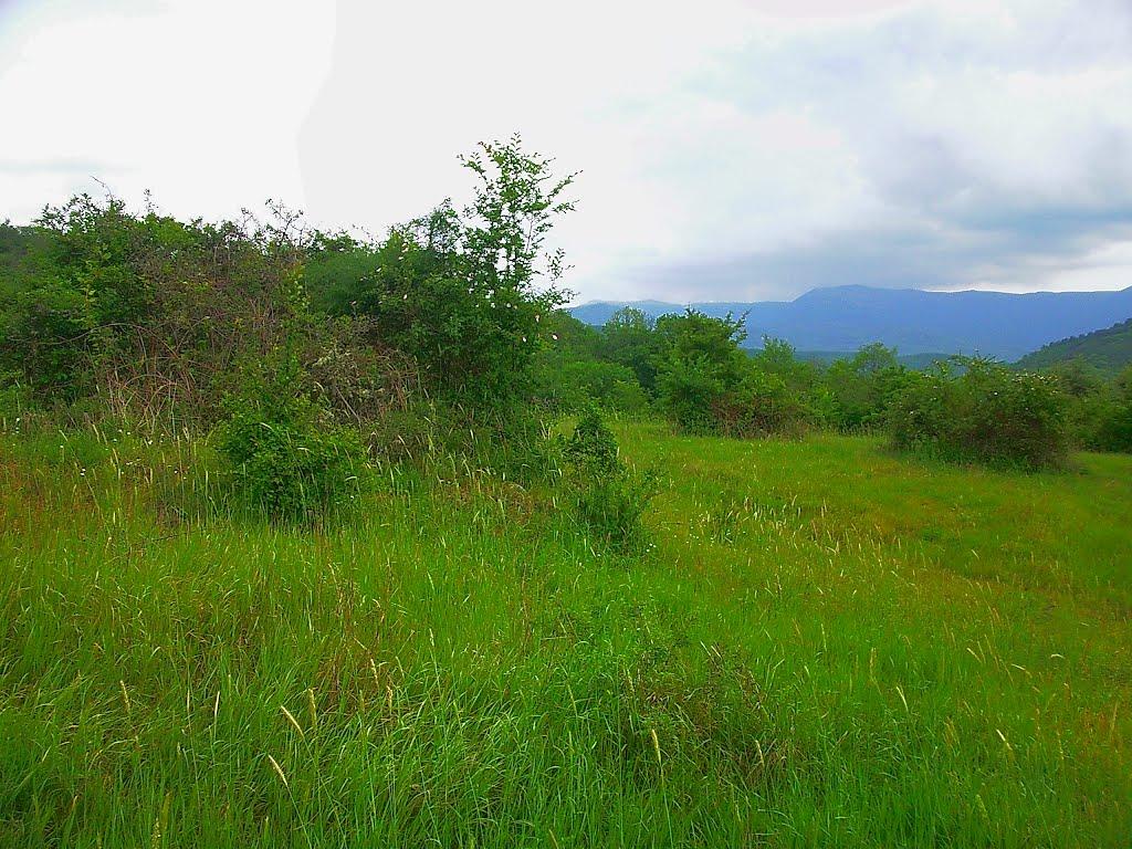 Щасливе з panoramio.com - Schaslyve