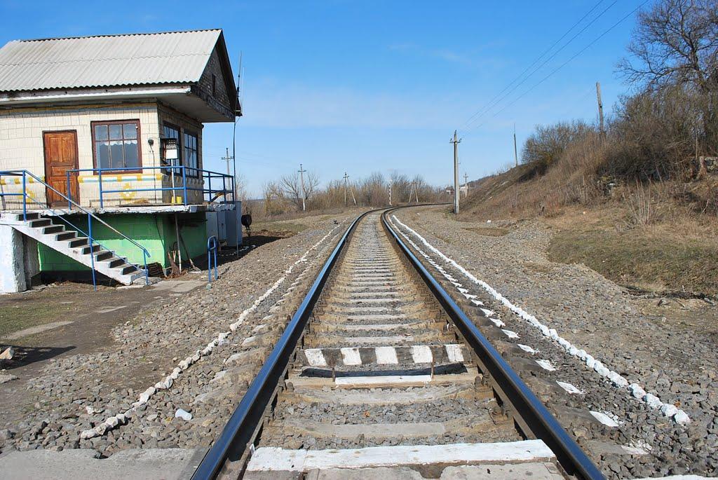 Грабарівка з panoramio.com - Грабарівка