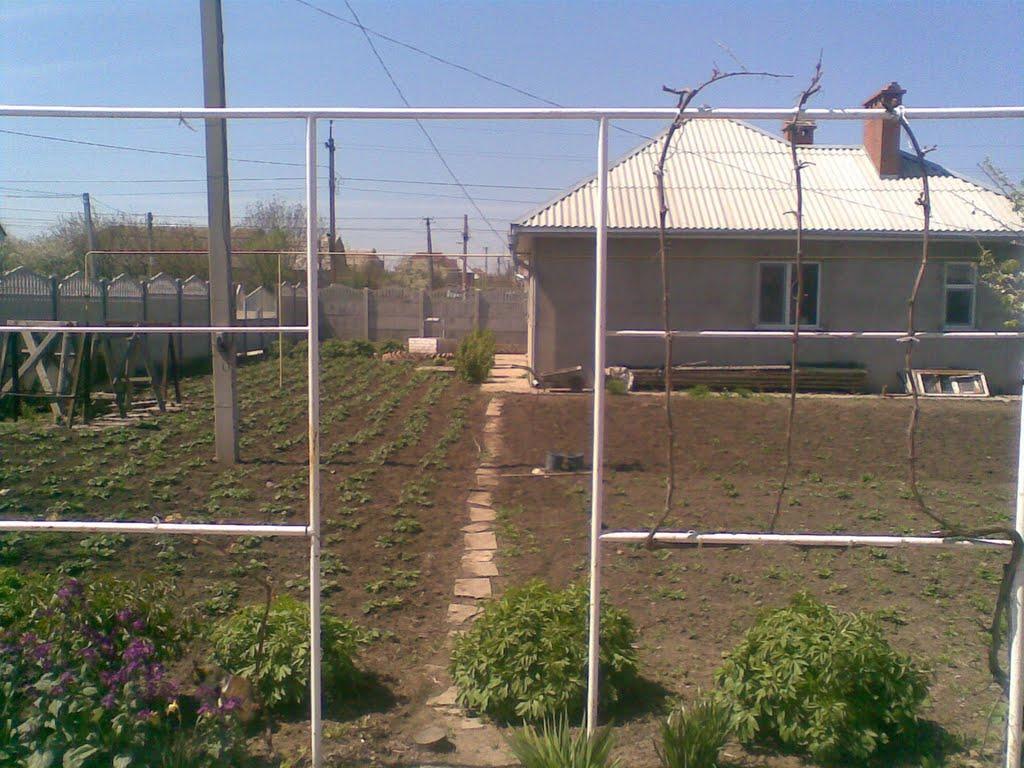 Фонтанка з panoramio.com - Фонтанка