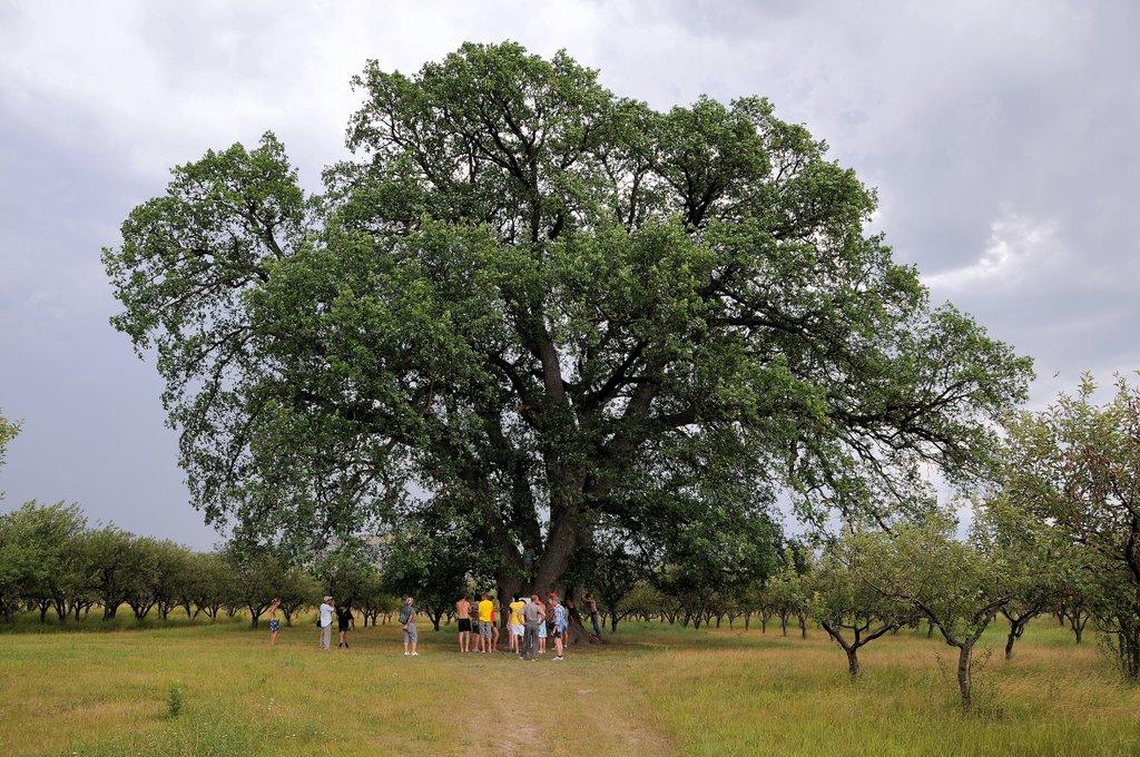 Білогірськ з panoramio.com - Білогірськ