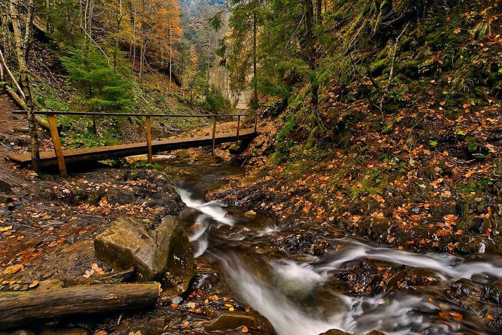 Татарів з panoramio.com - Татаров