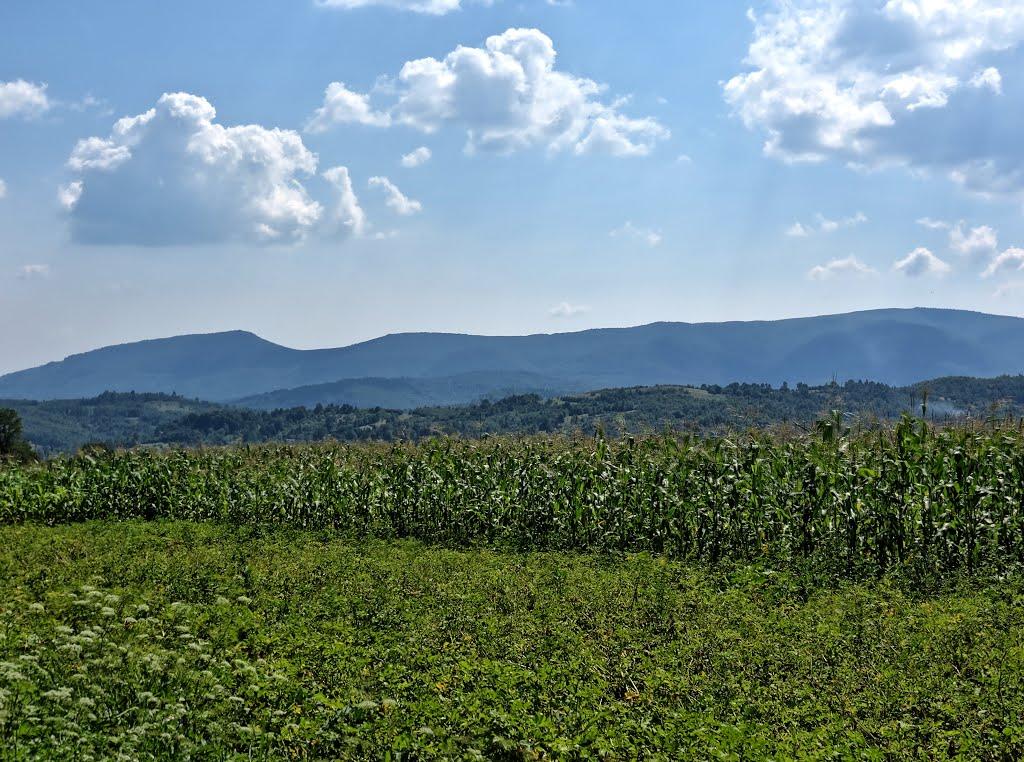 Керецьки з panoramio.com - Керецьки