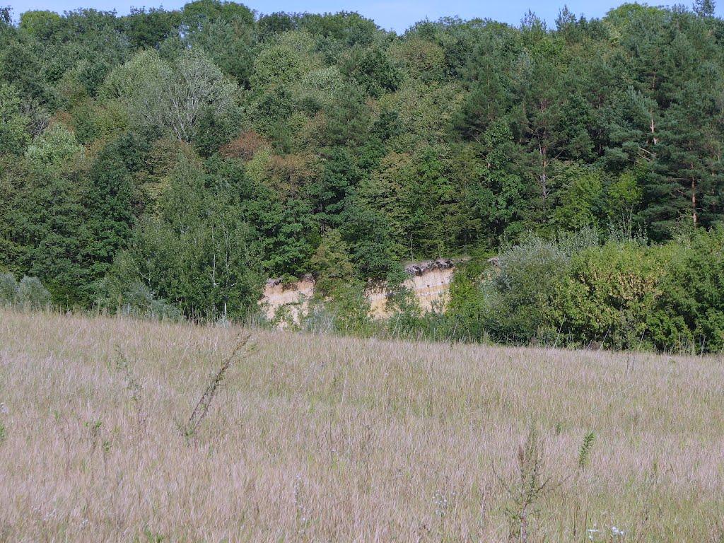 Червона Зірка з panoramio.com - Червона Зірка