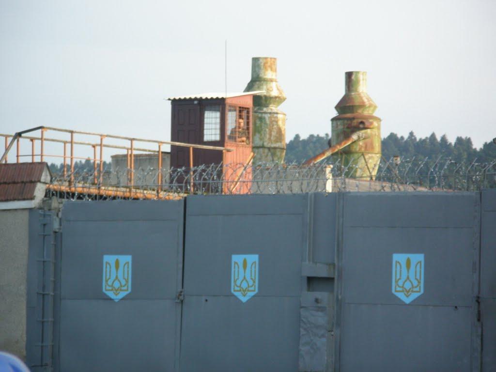 Товмачик з panoramio.com - Товмачик