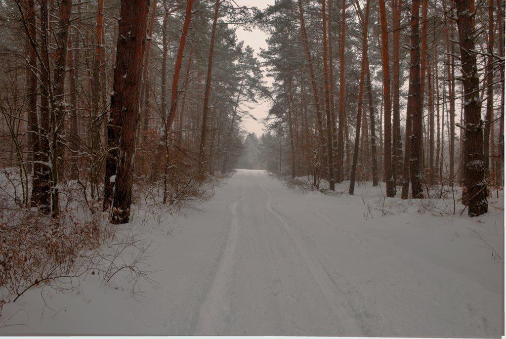 Свидівок з panoramio.com - Свидовок