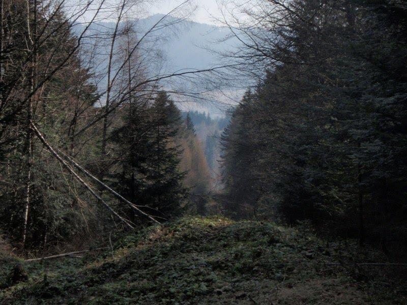 Вишка з panoramio.com - Вышка