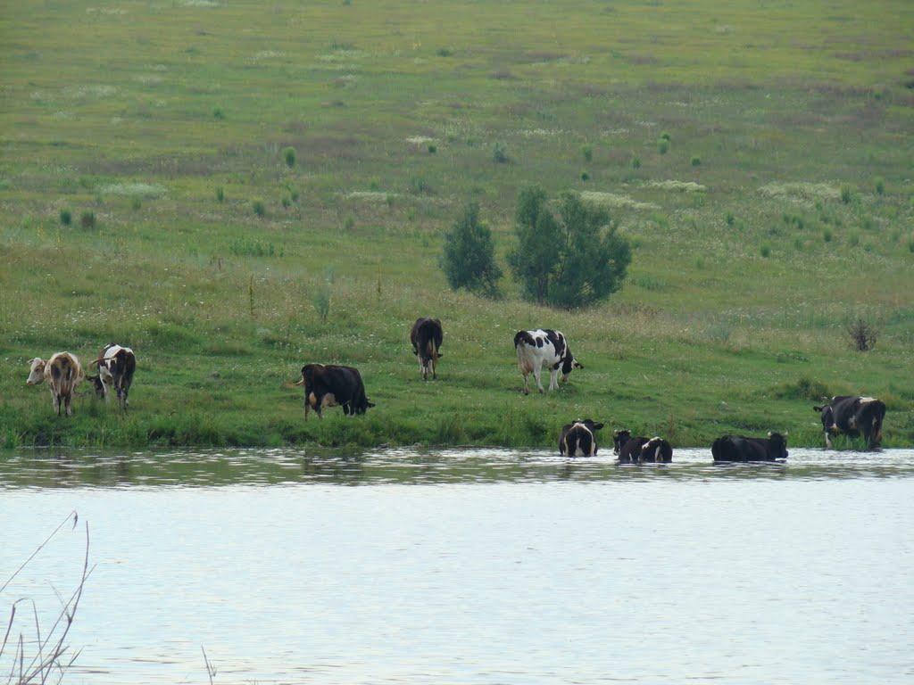 Демівщина з panoramio.com - Демовщина