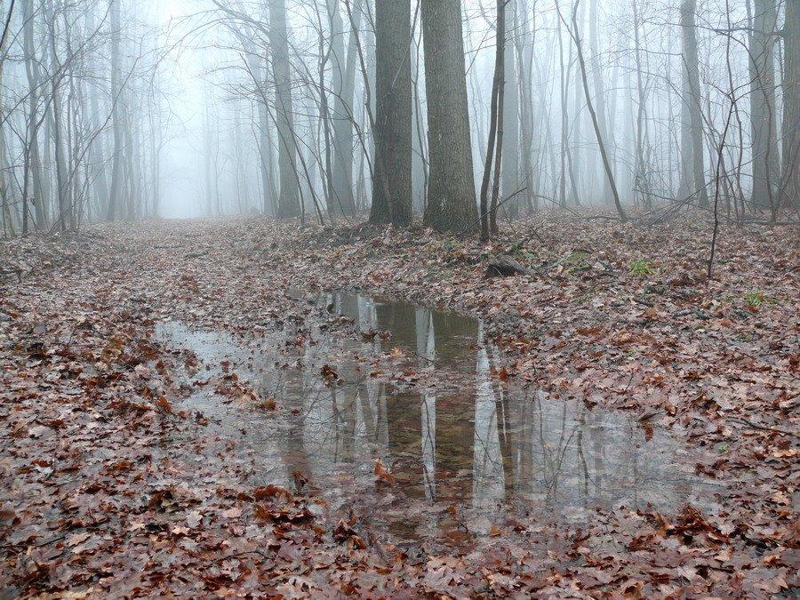 Коропове з panoramio.com - Koropove