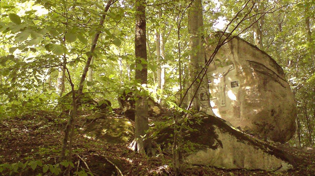 Лісники з panoramio.com - Лісники