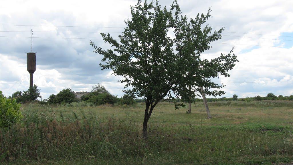 Нововодяне з panoramio.com - Нововодяное