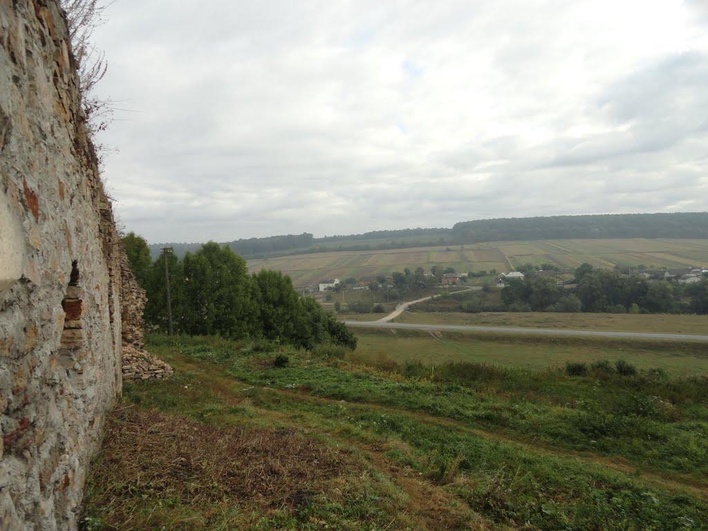 Микулинці з panoramio.com - Микулинцы