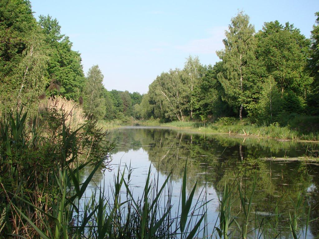 Свидівок з panoramio.com - Svydivok