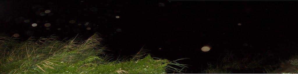 Рисове з panoramio.com - Рисовое