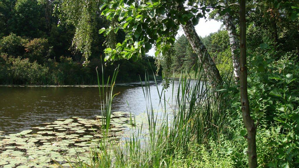 Свидівок з panoramio.com - Svydivok
