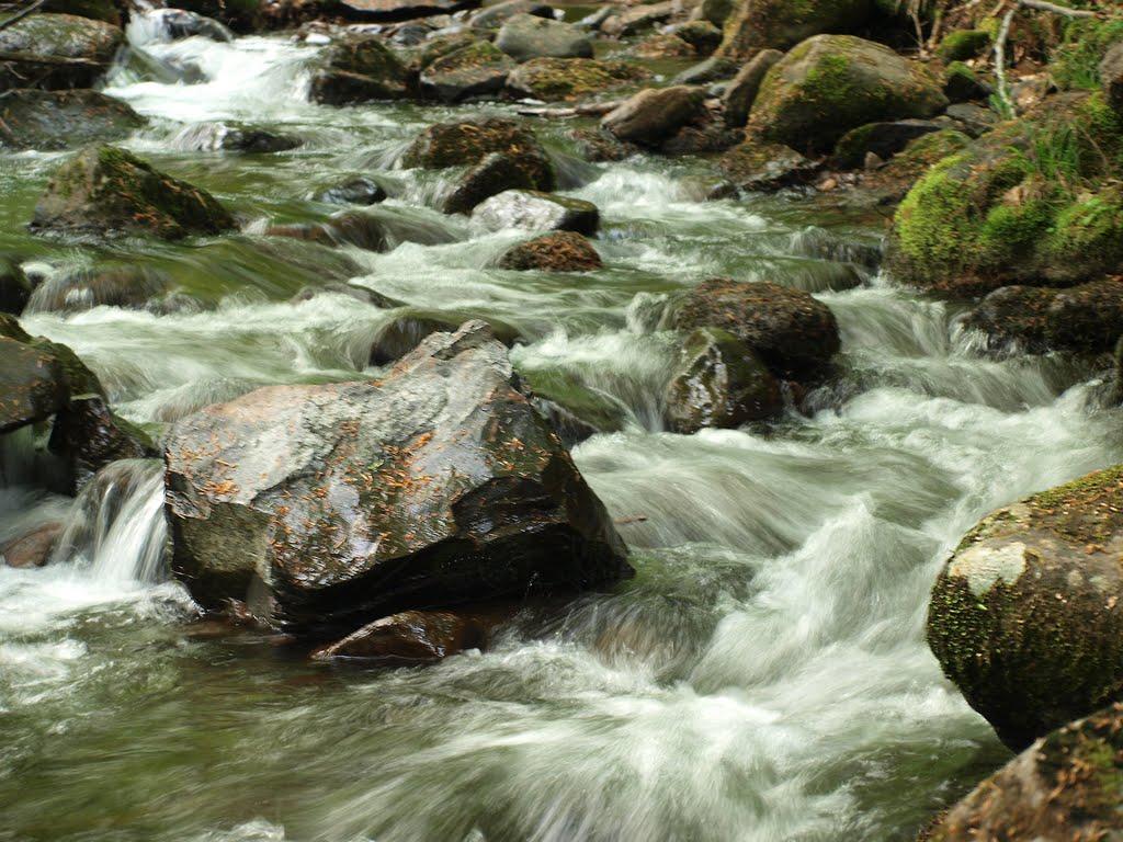 Синяк з panoramio.com - Синяк