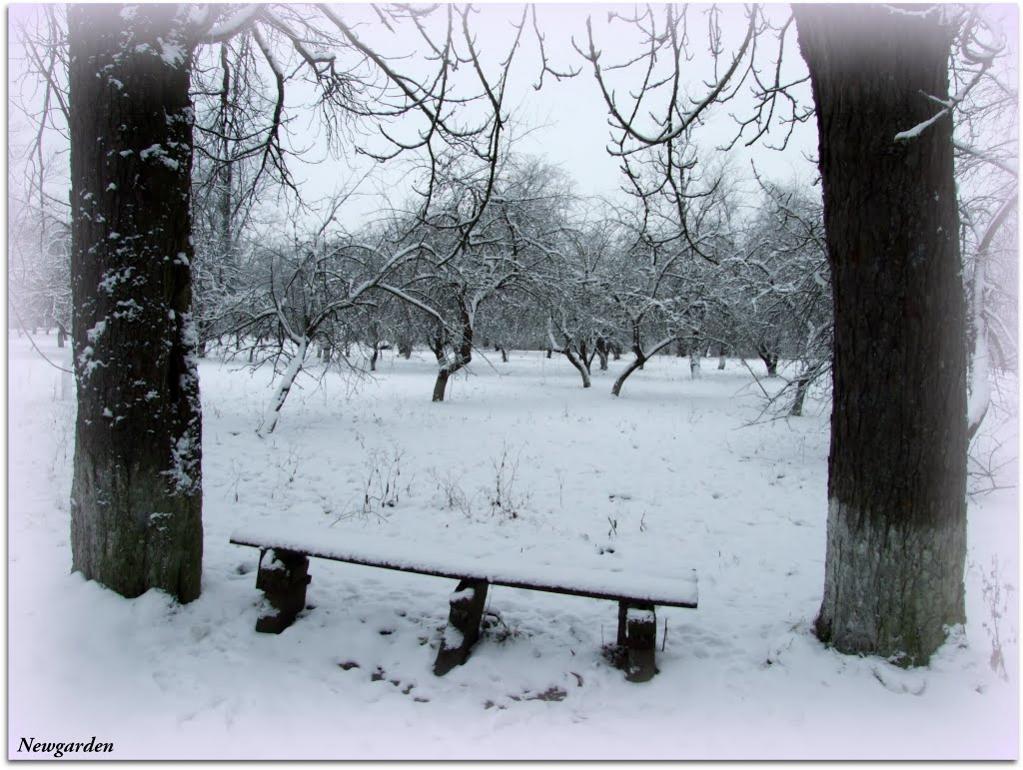 Луків з panoramio.com - Луків