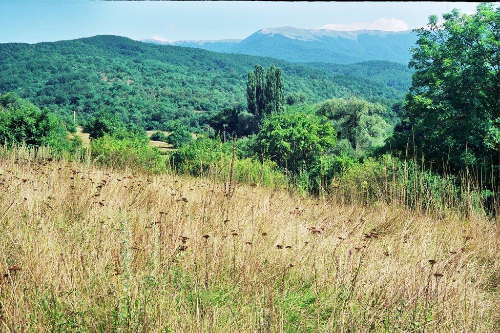 Щасливе з panoramio.com - Schaslyve