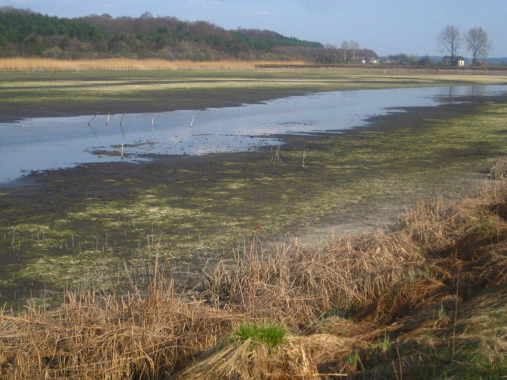 Лелехівка з panoramio.com - Лелеховка