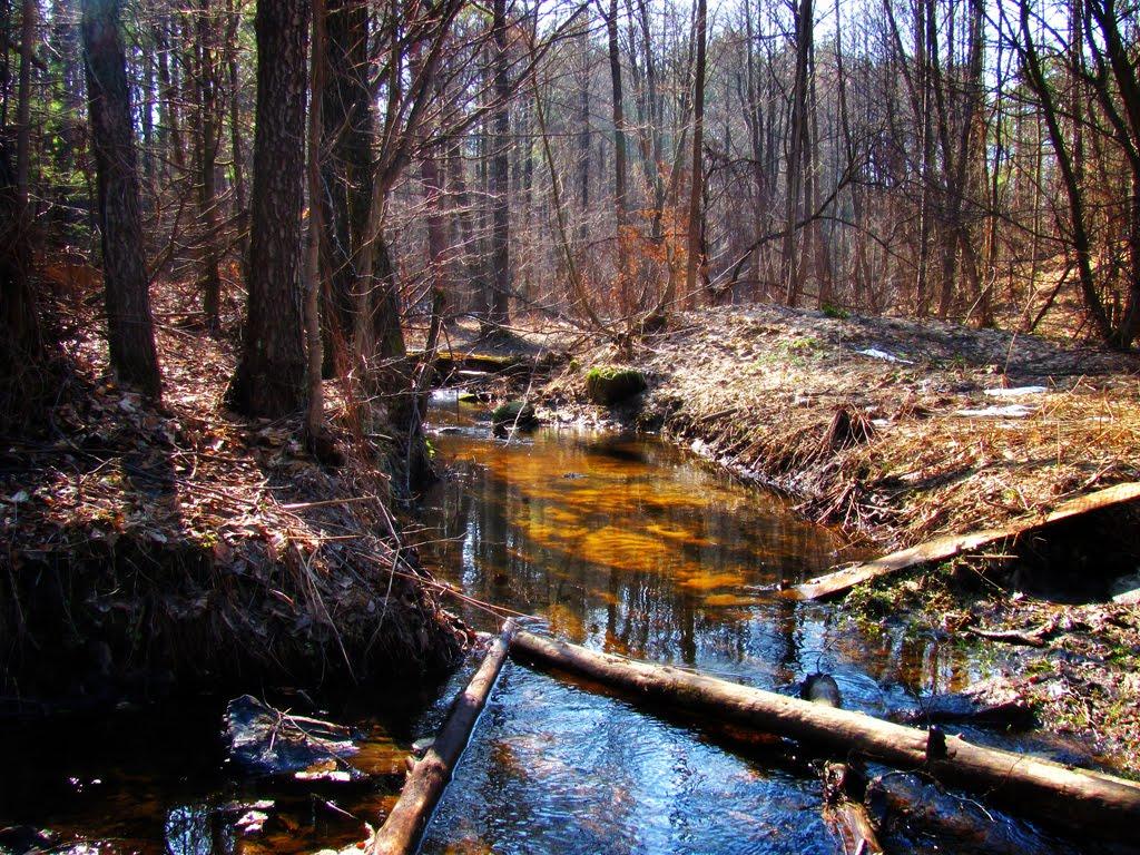 Полянка з panoramio.com - Полянка