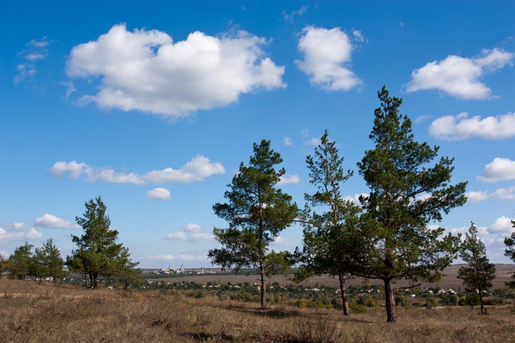 Красний Кут з panoramio.com - Красний Кут