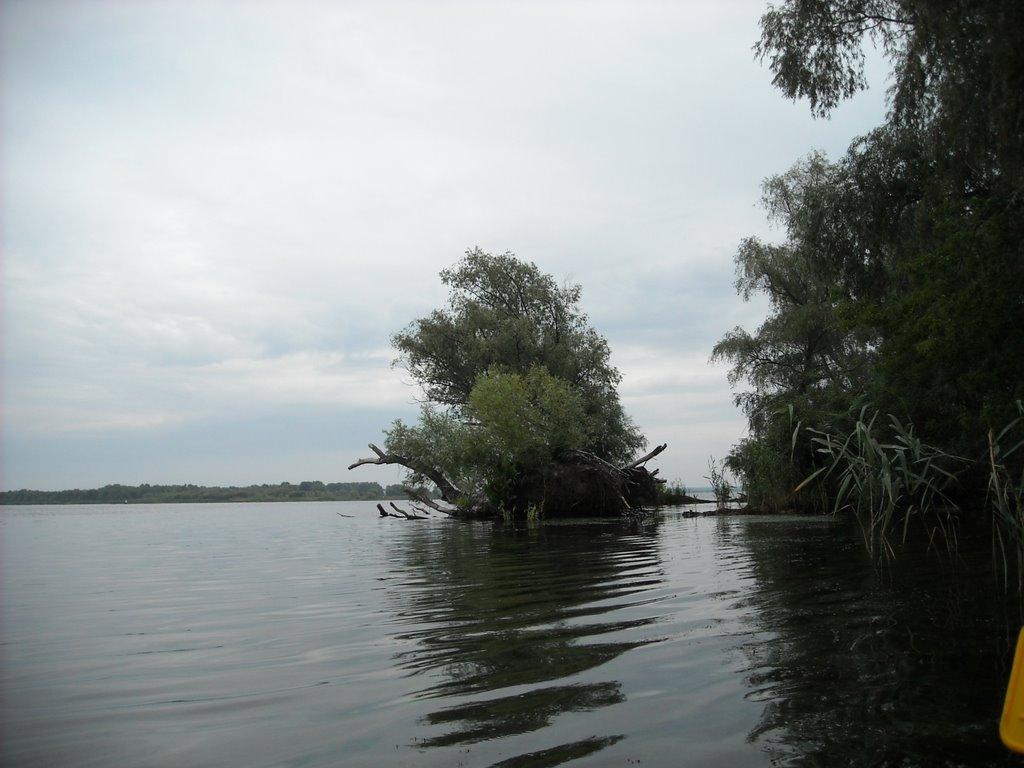 Свидівок з panoramio.com - Свидовок