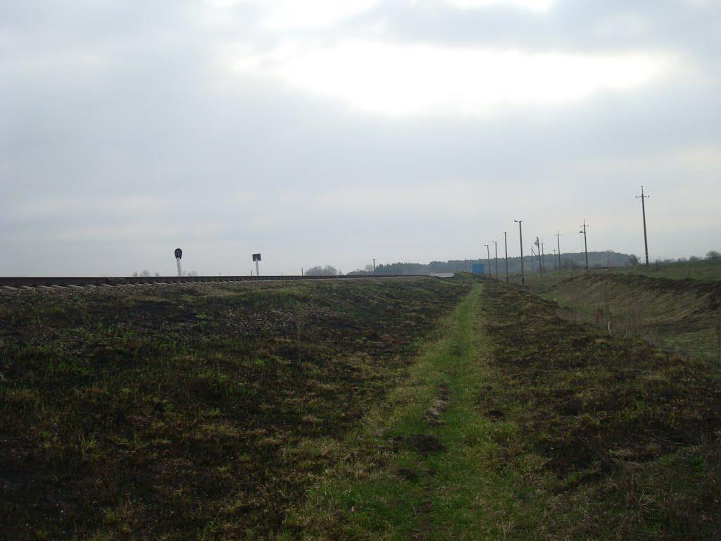 Великий Чернятин з panoramio.com - Великий Чернятин