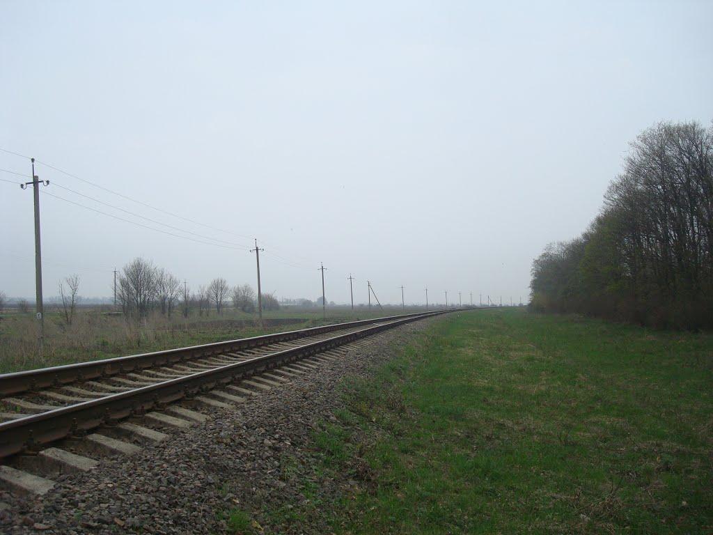 Грибенинка з panoramio.com - Грибенинка