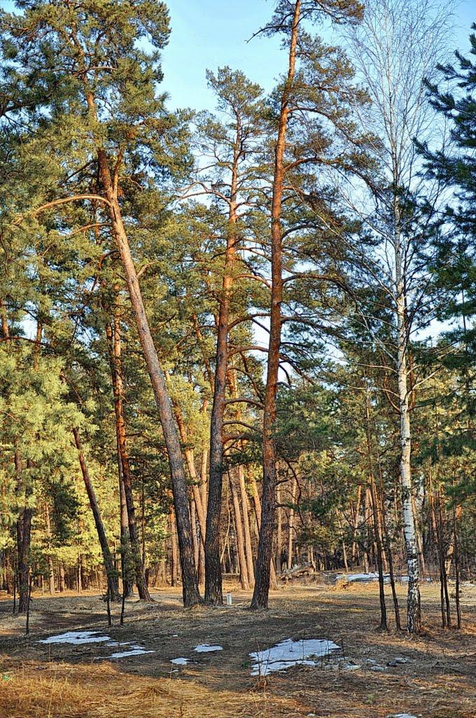 Кремінна з panoramio.com - Кременная