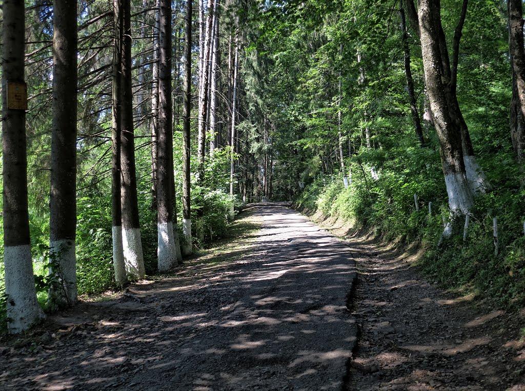 Керецьки з panoramio.com - Керецьки