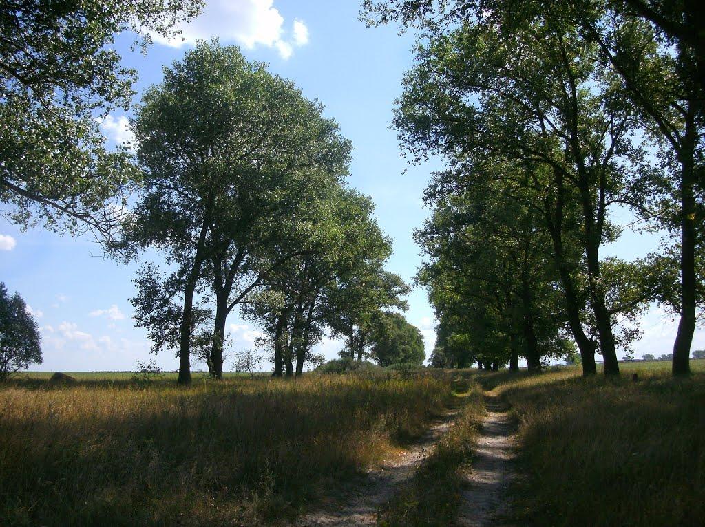 Лемешівка з panoramio.com - Лемешівка