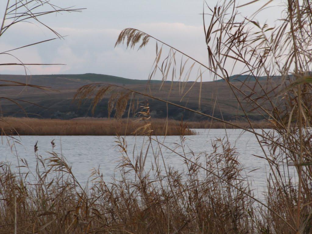 Приозерне з panoramio.com - Приозерне