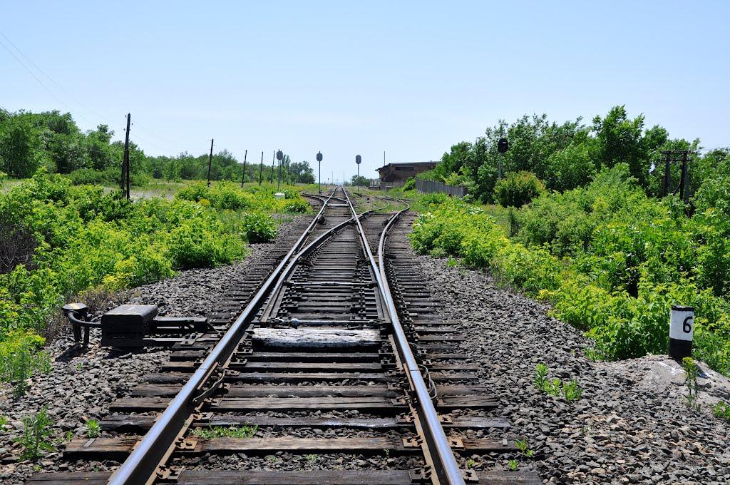 Новосвітлівка з panoramio.com - Новосветловка