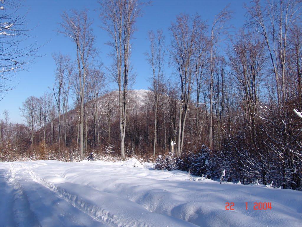 Тячів з panoramio.com - Тячев