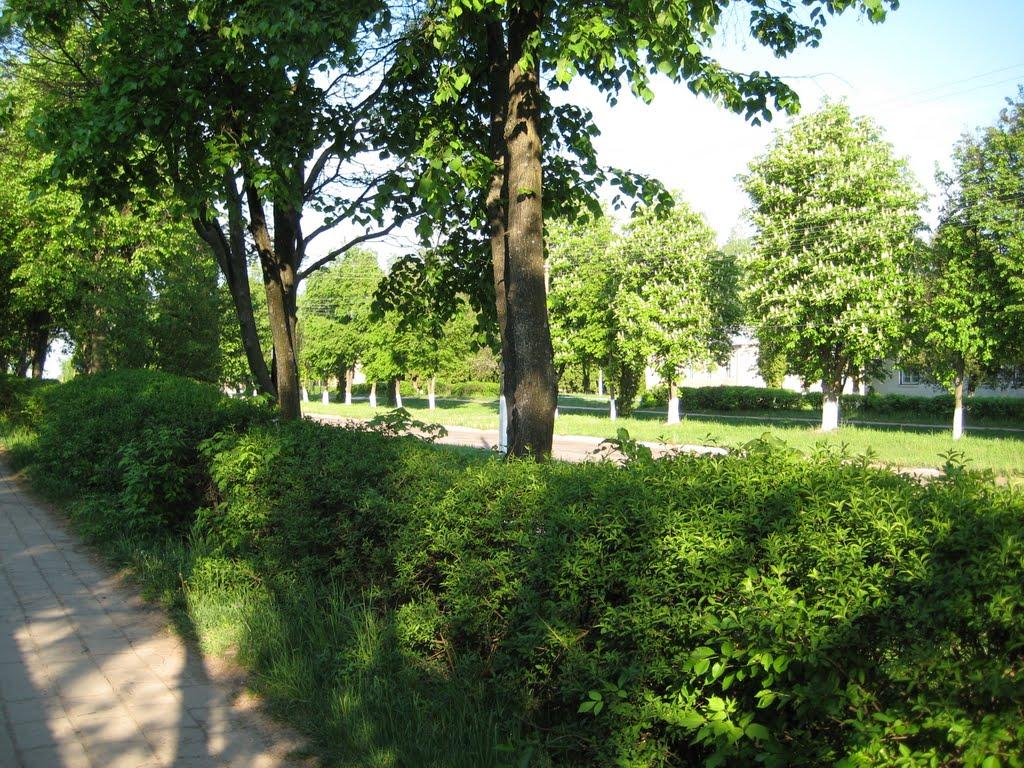 Срібне з panoramio.com - Сребное