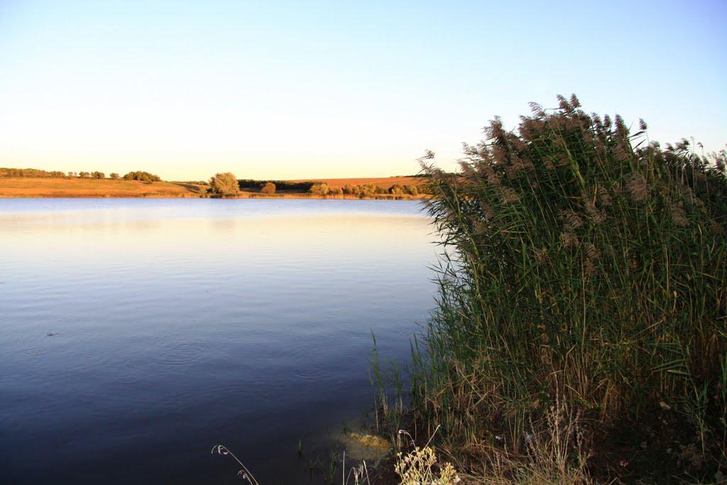 Чепигівка з panoramio.com - Чепигівка