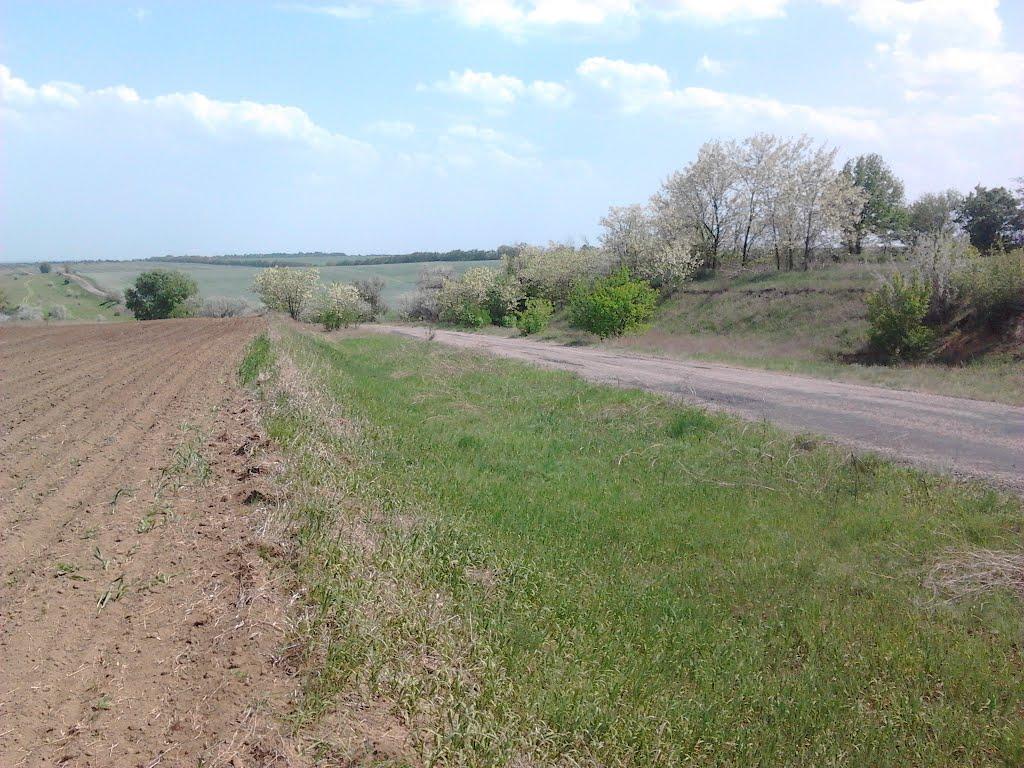 Васинівка з panoramio.com - Васинівка