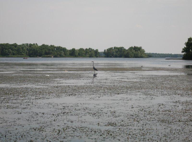 Розумівка з panoramio.com - Розумівка