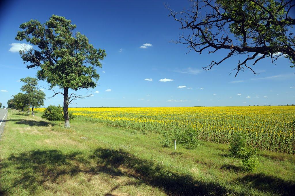 Нижні Сірогози з panoramio.com - Нижні Сірогози