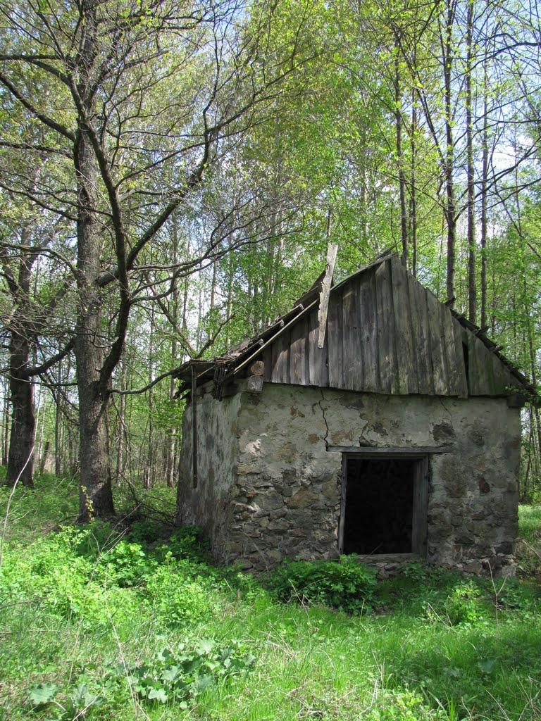 Полянка з panoramio.com - Полянка
