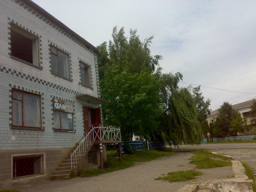 Гуштин з panoramio.com - Гуштын