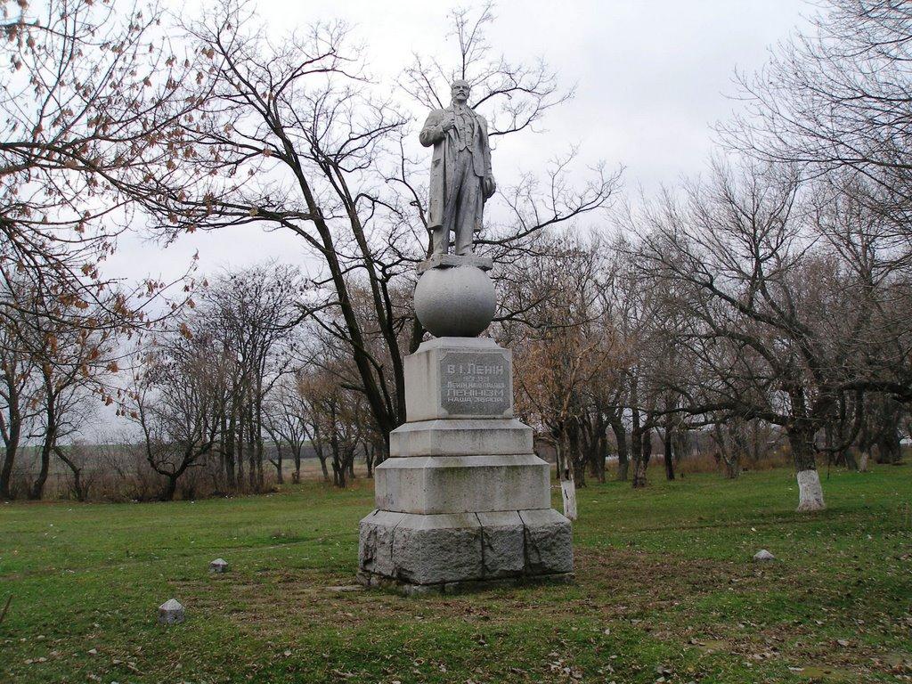 Новософіївка з panoramio.com - Новософіївка