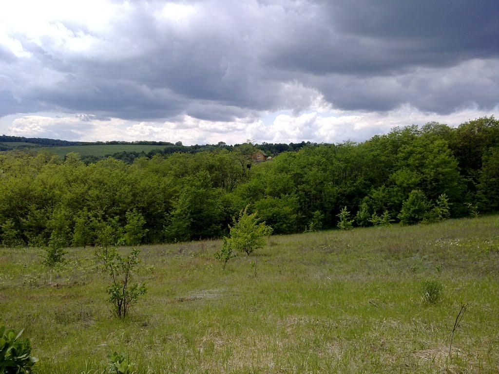 Балико-Щучинка з panoramio.com - Балыко-Щучинка