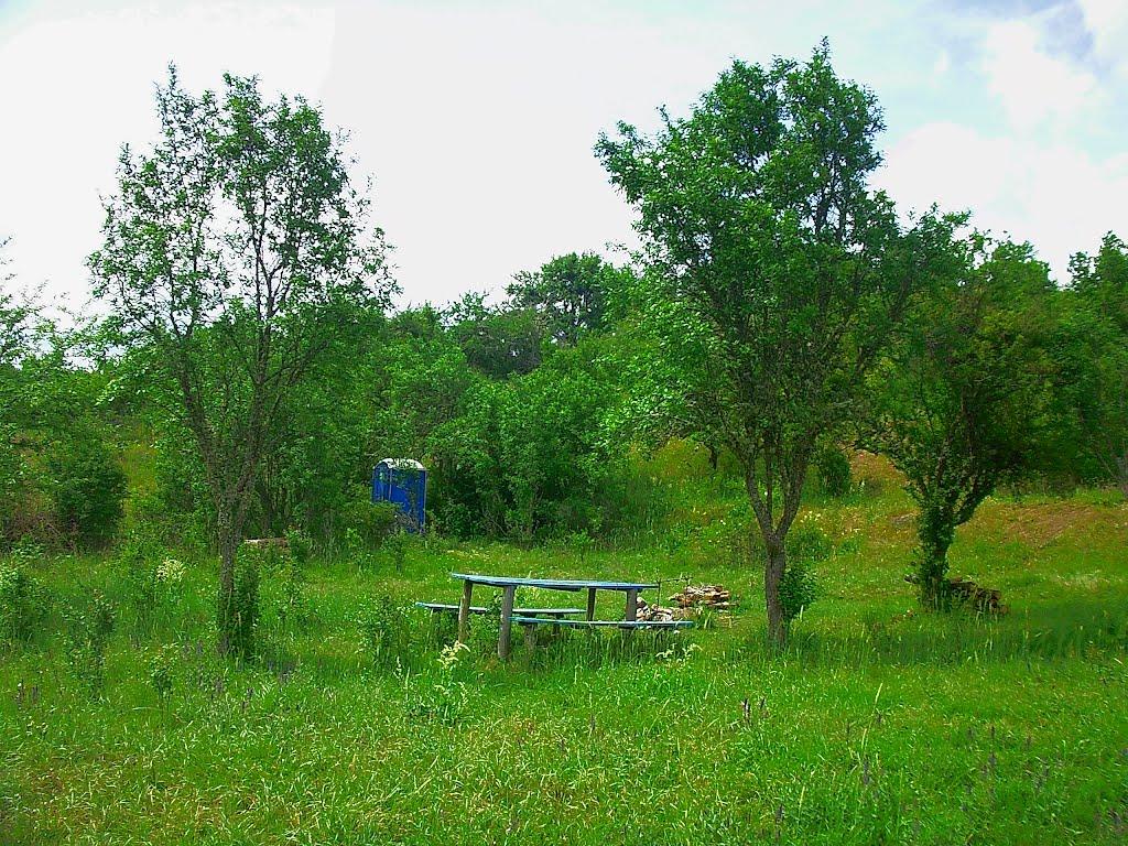 Щасливе з panoramio.com - Schaslyve