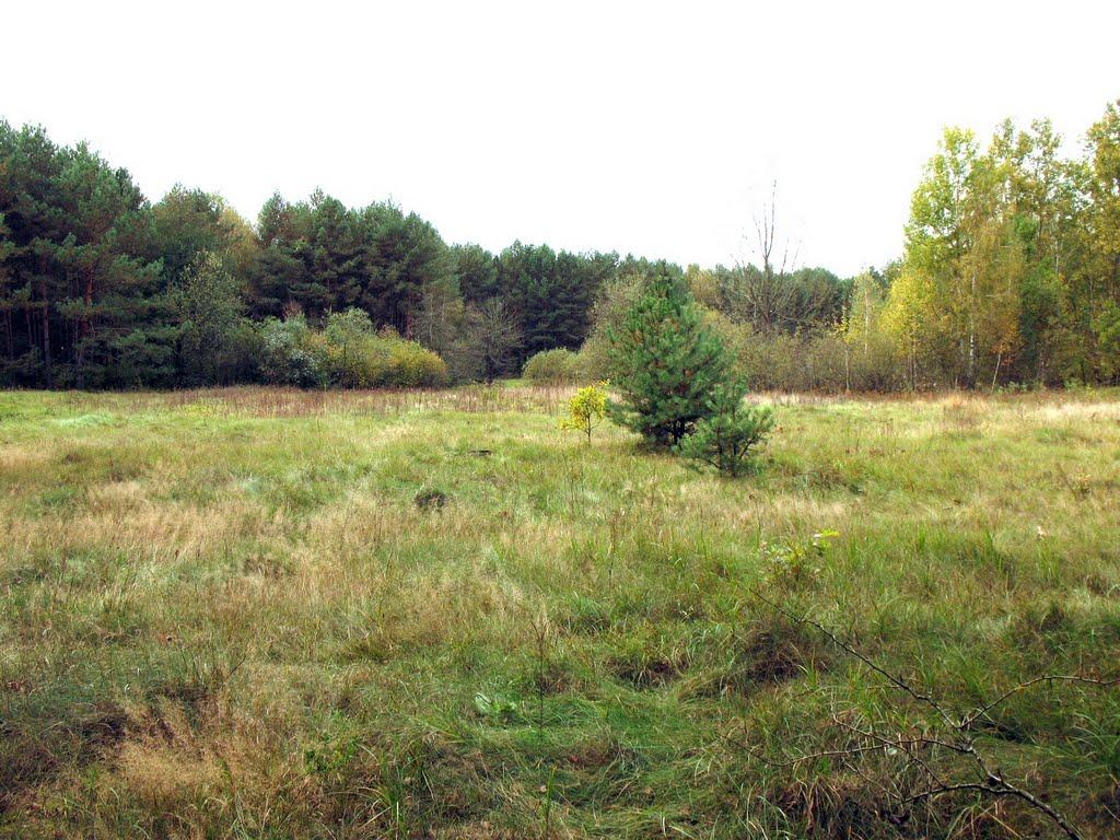 Три Копці з panoramio.com - Три Копцы