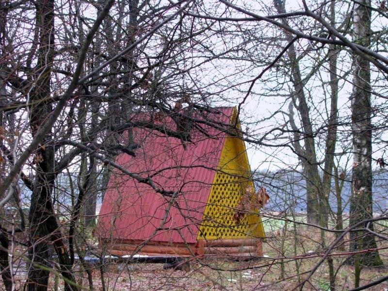 Лісові Сорочинці з panoramio.com - Лісові Сорочинці